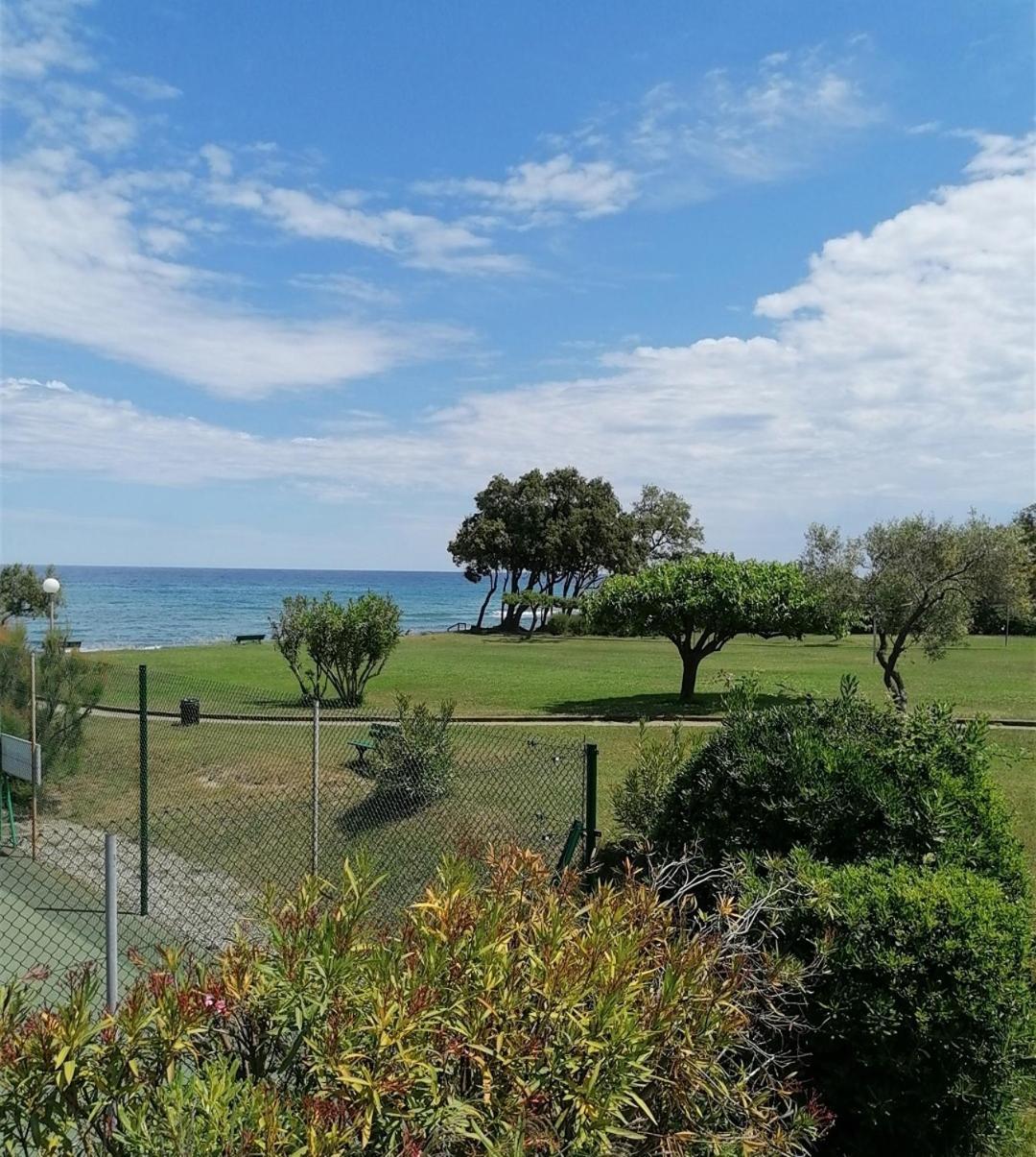 Studio 4 Personnes Bord De Mer Avec Piscine Wifi Cervione Buitenkant foto